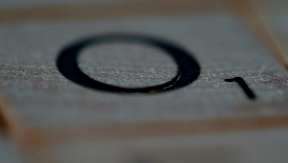 Tatimi Zero deri në 2029 në Shqipëri: Kush Përfiton dhe Si Funksionon